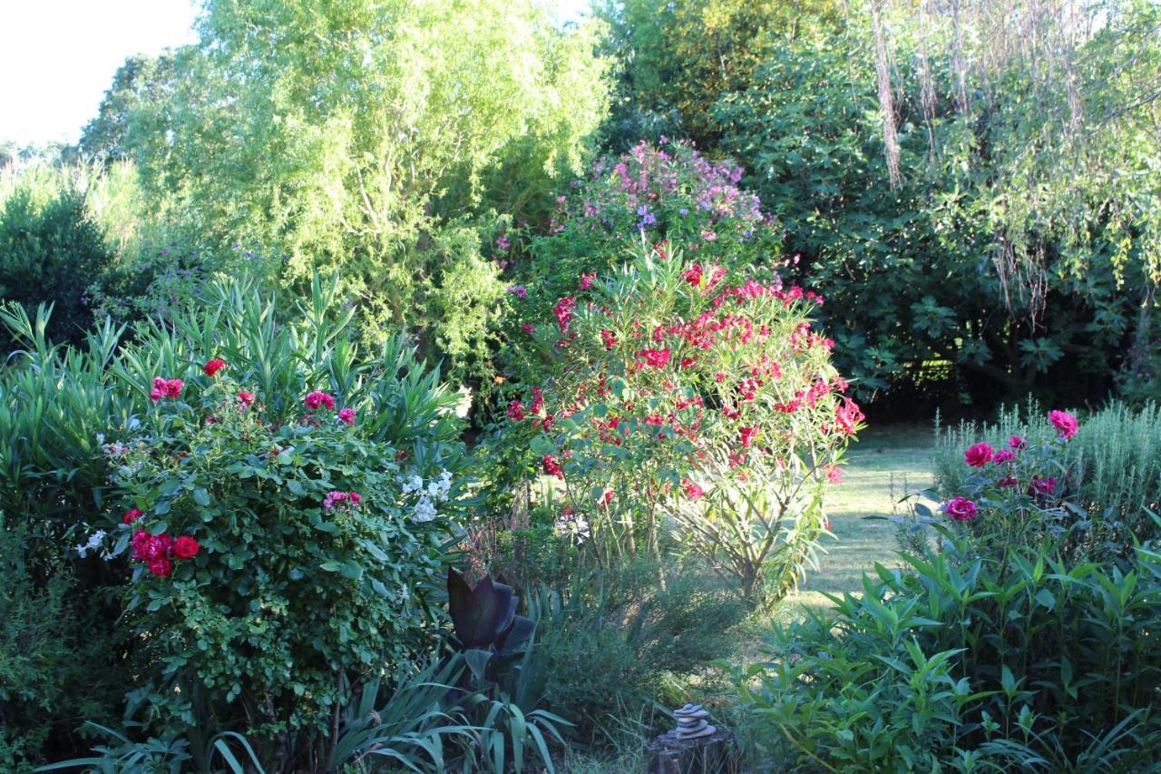 Mas Les Romarins, 10 Min D'Uzes, Piscine Et Grand Jardin Clos, Jeux, Nid De Repos Et Base Pour Activites Dans Le Gard (Adults Only) Экстерьер фото