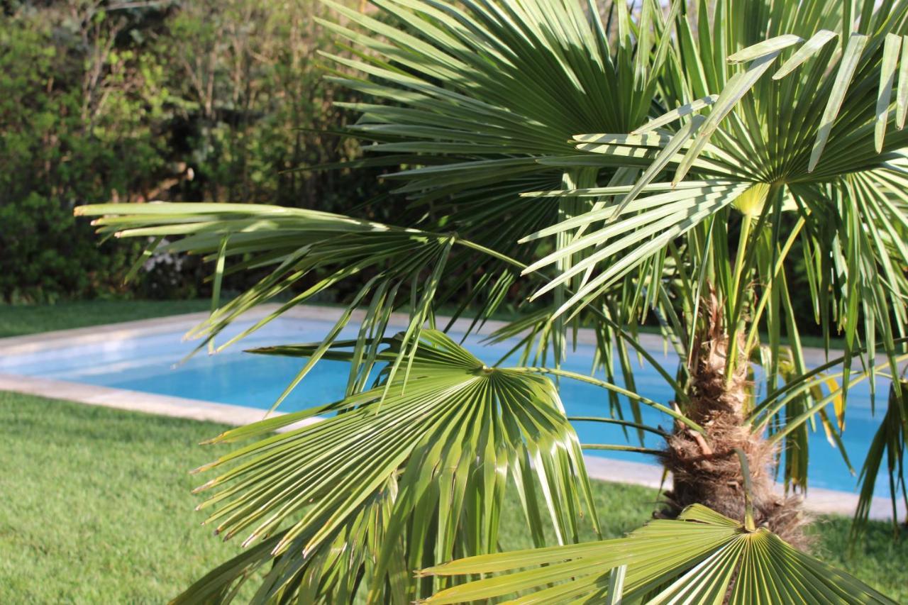 Mas Les Romarins, 10 Min D'Uzes, Piscine Et Grand Jardin Clos, Jeux, Nid De Repos Et Base Pour Activites Dans Le Gard (Adults Only) Экстерьер фото